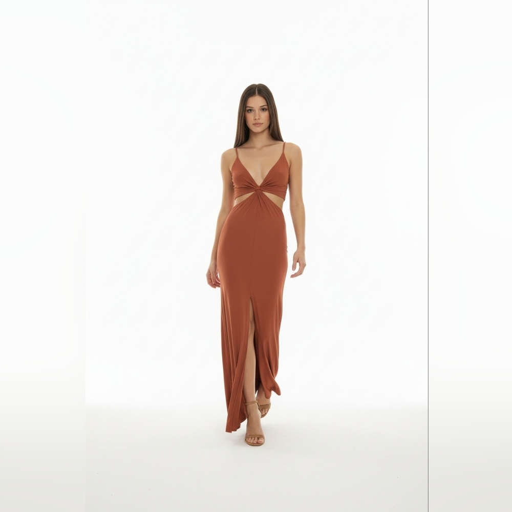 Fashion Nova Terracotta Maxi Dress